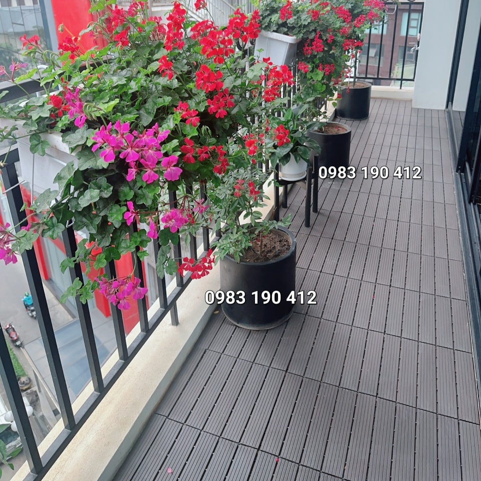 Tam-nhua-lot-san-ban-cong (3)